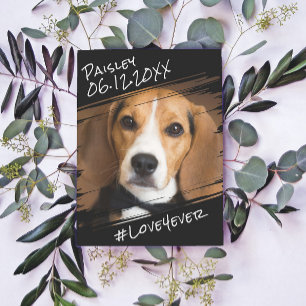 Moderne Chic Elegante Eenvoudige Zwarte Hond Aande Briefkaart