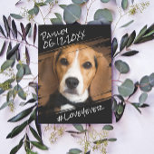 Moderne Chic Elegante Eenvoudige Zwarte Hond Aande Briefkaart