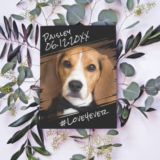 Moderne Chic Elegante Eenvoudige Zwarte Hond Aande Briefkaart