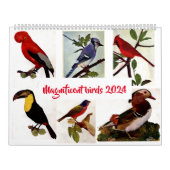 Moderne chique stijlvolle Waterverf Birds Kalender (Hoes)