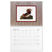 Moderne chique stijlvolle Waterverf Birds Kalender (Feb 2026)