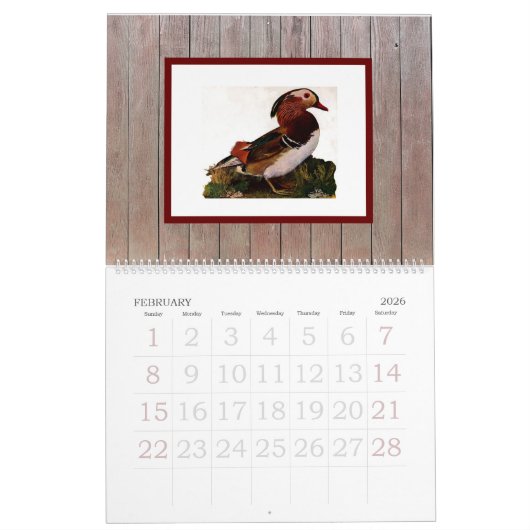 Moderne chique stijlvolle Waterverf Birds Kalender (Feb 2026)