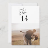 Moderne Chique Zwart Wit 5x7"de Nummers van de Fot (Achterkant)