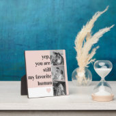 Moderne collage foto's en roemrijke prijsopgave fotoplaat (Insitu)