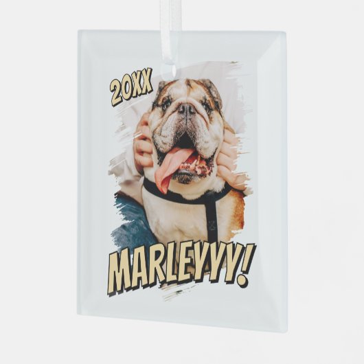 Moderne Comic Simple Grunge Custom Pet Photo Glas Ornament (Voorkant links)