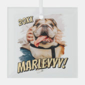 Moderne Comic Simple Grunge Custom Pet Photo Glas Ornament (Voorkant)