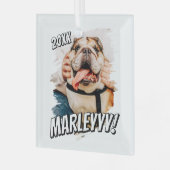 Moderne Comic Simple Grunge Custom Pet Photo Glas Ornament (Voorkant links)