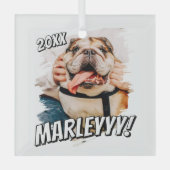 Moderne Comic Simple Grunge Custom Pet Photo Glas Ornament (Voorkant)