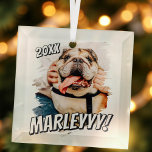 Moderne Comic Simple Grunge Custom Pet Photo Glas Ornament<br><div class="desc">Dit eenvoudige en klassieke ontwerp is samengesteld uit serif typografie en voegt een douanefoto van uw huisdier toe.</div>