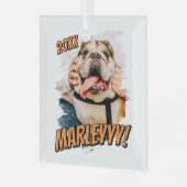 Moderne Comic Simple Grunge Custom Pet Photo Glas Ornament (Voorkant links)