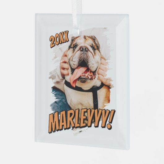 Moderne Comic Simple Grunge Custom Pet Photo Glas Ornament (Voorkant links)