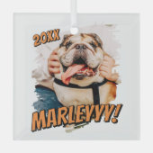 Moderne Comic Simple Grunge Custom Pet Photo Glas Ornament (Voorkant)