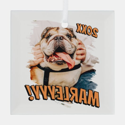 Moderne Comic Simple Grunge Custom Pet Photo Glas Ornament (Achterkant)