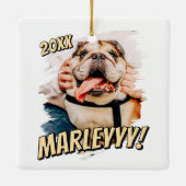 Moderne Comic Simple Grunge Custom Pet Photo Keramisch Ornament (Achterkant)