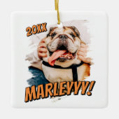 Moderne Comic Simple Grunge Custom Pet Photo Keramisch Ornament (Voorkant)