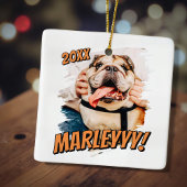 Moderne Comic Simple Grunge Custom Pet Photo Keramisch Ornament
