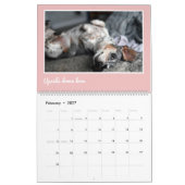 Moderne Cute Dachshund Aangepaste Huisdierfoto's Kalender (Feb 2027)