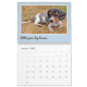 Moderne Cute Dachshund Aangepaste Huisdierfoto's Kalender (Jan 2027)