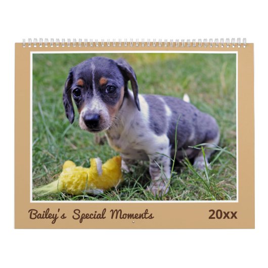 Moderne Cute Dachshund Aangepaste Huisdierfoto's Kalender (Hoes)