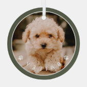 Moderne Cute Paws Familiehuisdier Foto Glas Ornament (Achterkant)