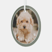 Moderne Cute Paws Familiehuisdier Foto Glas Ornament (Voorkant links)