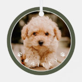 Moderne Cute Paws Familiehuisdier Foto Metalen Ornament (Achterkant)