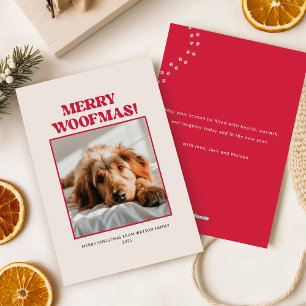 Moderne Cute Puppy Dog Pet Foto Afbeelding Kerstmi Feestdagenkaart
