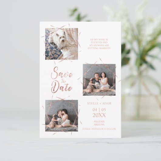 Moderne drie foto's Trendy Roos Gold Effect (Staand voorkant)