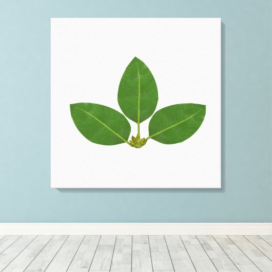 Moderne Drie Laurierbladeren Canvas Afdruk (Insitu (Houten vloer))