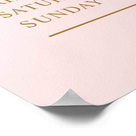 Moderne Eenvoudige Blush Roze Zakelijke Openingsti Poster (Hoek)