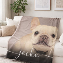 Moderne Eenvoudige Elegante Chic Huisdier Foto Tek