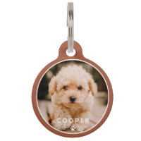 Moderne, eenvoudige foto met elegant chic Paw-foto