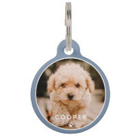 Moderne, eenvoudige foto met elegant chic Paw-foto