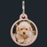 Moderne, eenvoudige foto met elegant chic Paw-foto Huisdierpenning<br><div class="desc">Dit eenvoudige en klassieke ontwerp is samengesteld uit serif typografie en voegt een douanefoto van uw huisdier toe.</div>