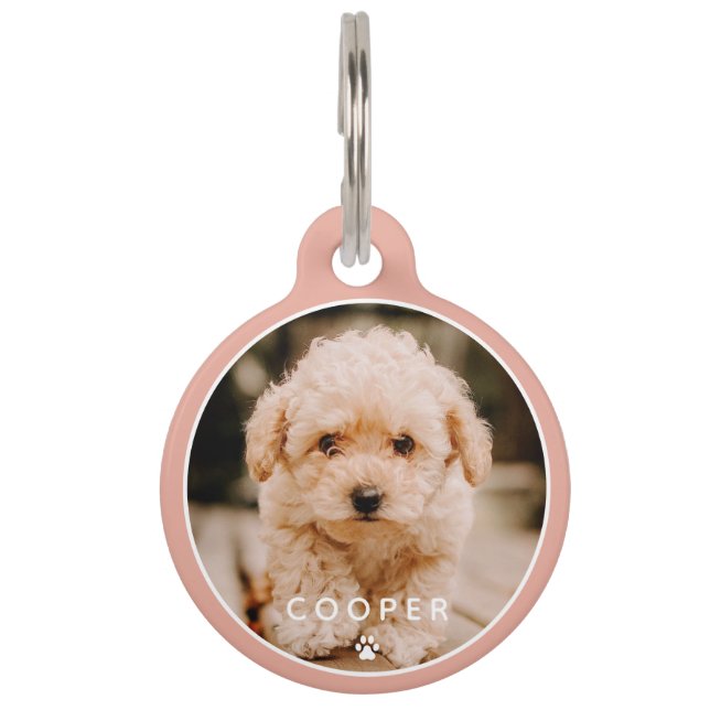 Moderne, eenvoudige foto met elegant chic Paw-foto Huisdierpenning (Voorkant)
