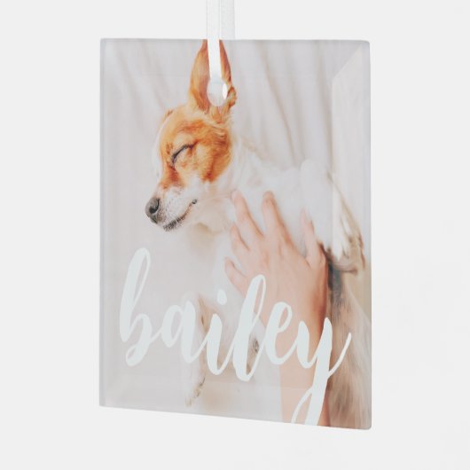 Moderne, eenvoudige foto met elegante grafische fo glas ornament (Voorkant links)