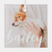 Moderne, eenvoudige foto met elegante grafische fo glas ornament (Voorkant)