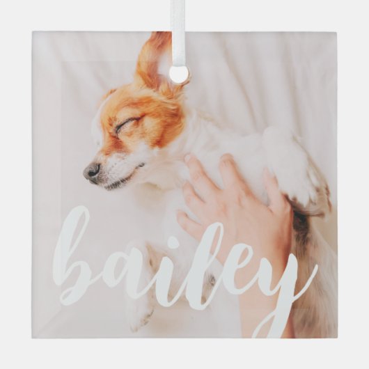 Moderne, eenvoudige foto met elegante grafische fo glas ornament (Voorkant)