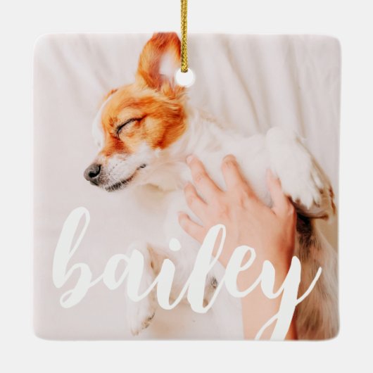 Moderne, eenvoudige foto met elegante grafische fo keramisch ornament (Achterkant)