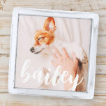 Moderne, eenvoudige foto met elegante grafische fo verzilverde reverspeld<br><div class="desc">Dit eenvoudige en klassieke ontwerp is samengesteld uit serif typografie en voegt een douanefoto van uw huisdier toe.</div>