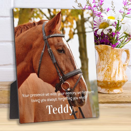 Moderne Eenvoudige Foto Sympathie Herinnering Herd Fotoplaat