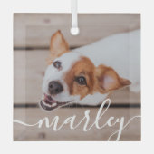 Moderne, eenvoudige foto van elegante grafische fo glas ornament (Voorkant)