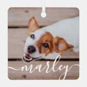 Moderne, eenvoudige foto van elegante grafische fo metalen ornament (Achterkant)