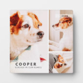 Moderne eenvoudige geometrische fotocollage voor h fotoplaat (Voorkant)