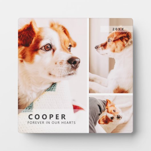 Moderne eenvoudige geometrische fotocollage voor h fotoplaat (Voorkant)