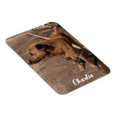 Moderne eenvoudige huisdier foto magneet (Rechterzijde)