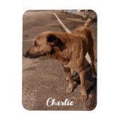 Moderne eenvoudige huisdier foto magneet (Verticaal)
