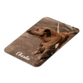 Moderne eenvoudige huisdier foto magneet (Linkerzijde)