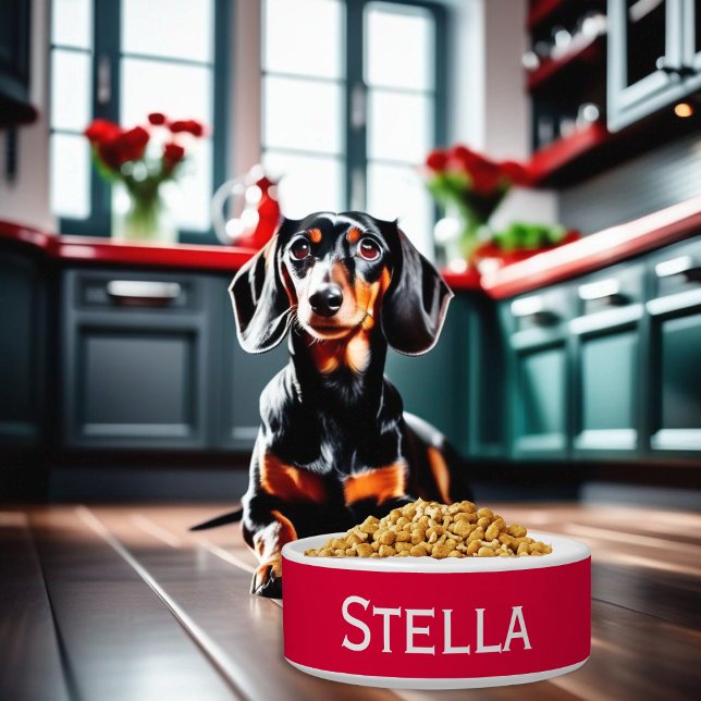 Moderne Eenvoudige Minimalistische Rode Witte Huis Voerbakje (A red and white ceramic bowl for food or water, personalized with your dog's name)