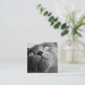 Moderne Eenvoudige Pet Sitter Hond Walker Vierkante Visitekaartje (Staand voorkant)